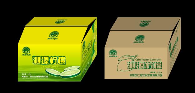 水果紙箱(xiāng)包裝設計(jì)的流程